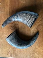 twee (koeien)hoorns, Ophalen of Verzenden, Nieuw
