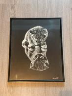 Schilderij Kitten met Spiegelbeeld 35x28 cm, Ophalen of Verzenden, Zo goed als nieuw, Schilderij, Minder dan 50 cm