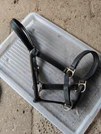 Leren halster pony, Dieren en Toebehoren, Ophalen of Verzenden, Gebruikt, Overige soorten