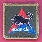 Borstembleem kleur  Bizon Cle Nieuw, Verzenden, Landmacht, Nederland