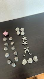 22 kastknoppen thema zee en schelpen, Ophalen