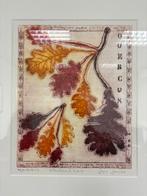 Originele ets-serie (3 stuks) – gesigneerd – botanisch –2011, Ophalen of Verzenden