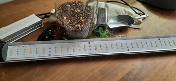 Kweeklamp Apollo Falcon 60 PRO + Kweekmaterialen beschikbaar voor biedingen