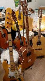 Gratis muzikant, voor feest en partijen. Feestdagen etcetera, Ophalen