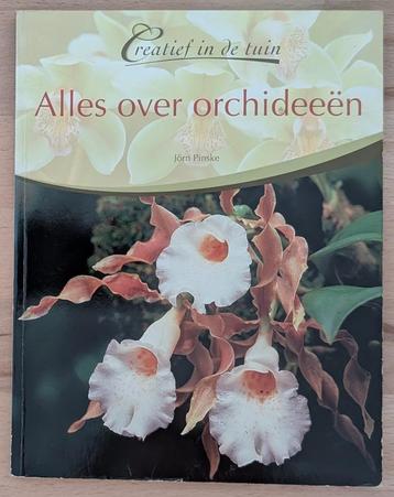 Boek Alles over orchideeën - Jörn Pinske beschikbaar voor biedingen