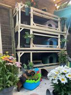 Liefdevolle verzorging voor jouw cavia tijdens vakantie, Dieren en Toebehoren, Knaagdieren en Konijnen | Hokken en Kooien, 110 cm of meer