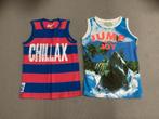 2 Shirts/Hemdjes Maat 122/128, Ophalen of Verzenden, Zo goed als nieuw, Jongen, Shirt of Longsleeve