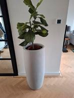 Hoge bloempot + kunst plant., Rond, Binnen, Aardewerk, 70 cm of meer