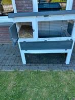 Cavia / konijnen hok, Dieren en Toebehoren, Gebruikt, Hok, Cavia, Ophalen