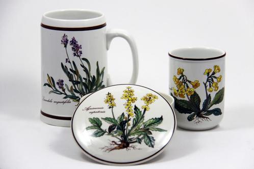 Vintage Botanica beker, bierpul en schaaltje Villeroy & Boch, Verzamelen, Porselein, Kristal en Bestek, Gebruikt, Overige typen