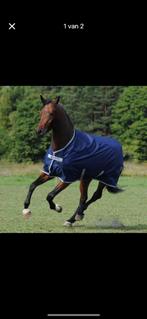 Nieuwe Bucas Freedom Turnout 150g Navy (165/213), Dieren en Toebehoren, Paarden en Pony's | Dekens en Dekjes, Ophalen of Verzenden