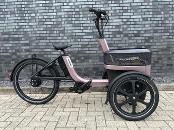 Elektrische Van Raam Thuja NU OP VOORRAAD! beschikbaar voor biedingen