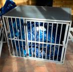 Aluminium Hondenbench XL, Dieren en Toebehoren, Ophalen, Zo goed als nieuw