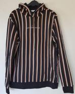 Heren hooded sweater Daily Aesthetikz maat L zgan., Ophalen of Verzenden, Zo goed als nieuw, Maat 52/54 (L), Daily aesthetikz