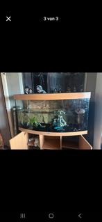 Juwel bak met kast  120, Dieren en Toebehoren, Vissen | Aquaria en Toebehoren, Ophalen of Verzenden, Zo goed als nieuw, Leeg aquarium