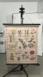 Poster bloemen en planten, Antiek en Kunst, Ophalen, Natuur en Biologie