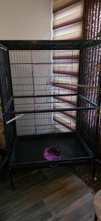 Vogelkooi, Ophalen of Verzenden, Zo goed als nieuw