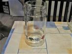 Boerenbont glazen sapkan / waterkan Boerenbond, Gebruikt, Overige typen, Ophalen of Verzenden, Glas