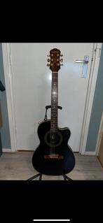 Epiphone chet atkins 90s, Muziek en Instrumenten, Ophalen, Zo goed als nieuw, Epiphone