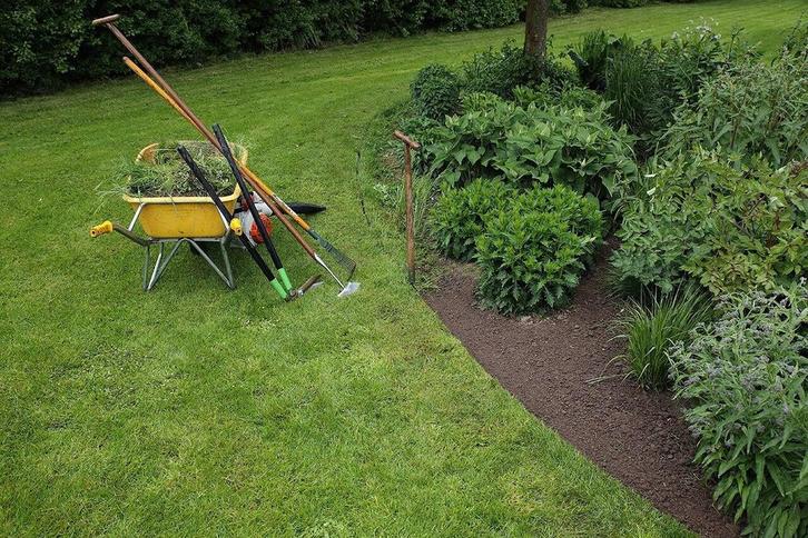 Hovenier aangeboden, Diensten en Vakmensen, Tuinmannen en Stratenmakers, Tuinonderhoud of Snoeiwerk