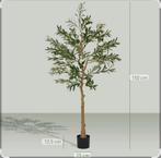 Homcom Olijfboom - Nieuw!, Ophalen of Verzenden, Nieuw, Binnen