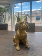 Bulldog beeldje., Verzamelen, Beelden en Beeldjes, Ophalen, Nieuw