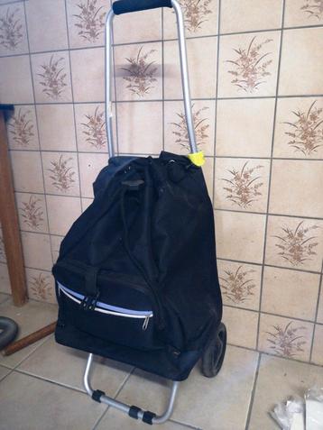 Boodschappentrolley - Handig voor al uw boodschappen! beschikbaar voor biedingen