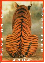 Ansichtkaart	Tijger, Verzenden, 1960 tot 1980, Ongelopen, Wild dier