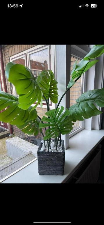 Kunstplanten beschikbaar voor biedingen