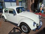 Volkswagen 1200 1.2 Kever 1982 Wit, Beetle (Kever), Wit, Origineel Nederlands, Overige kleuren