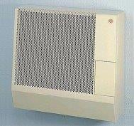 Gaskachel  Mooie Gerevis Geteste  DRU ART 3 T, Nu 229,- €, Huis en Inrichting, Kachels, Zo goed als nieuw, Hangend, Gevelkachel