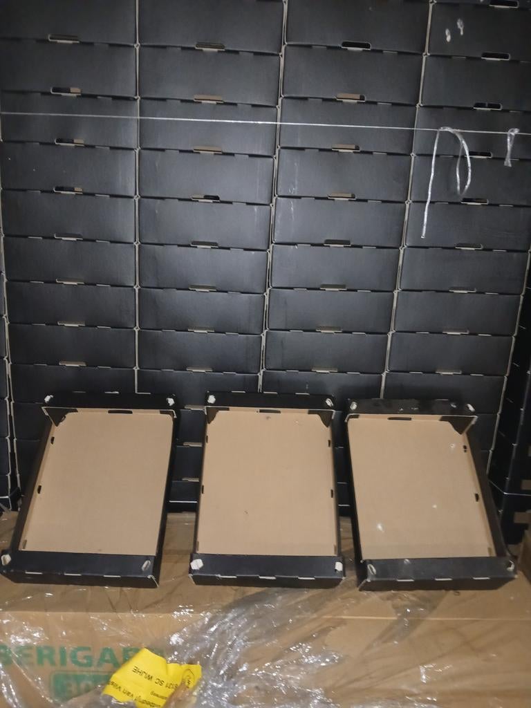 Kartonnen dozen fruitbox, Ophalen, Nieuw