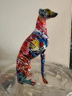 street a windhond whippet hazewindhond, Ophalen of Verzenden