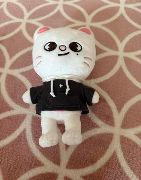 Stray Kids SKZOO Jiniret original plush, Ophalen of Verzenden, Zo goed als nieuw, Foto of Kaart