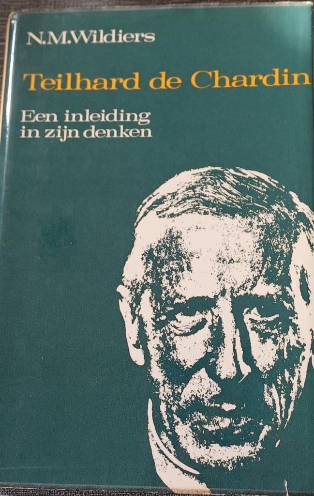 Teilhard de Chardin, Ophalen of Verzenden, Zo goed als nieuw, Wijsbegeerte of Ethiek, N.M. Wildiers