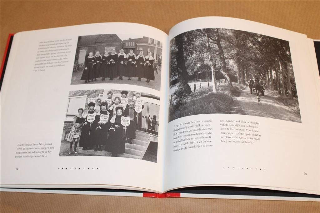 Geschiedenis van Dalfsen in oude foto's — Rijk geïllustreer, Boeken, Geschiedenis | Stad en Regio, Ophalen of Verzenden, Zo goed als nieuw