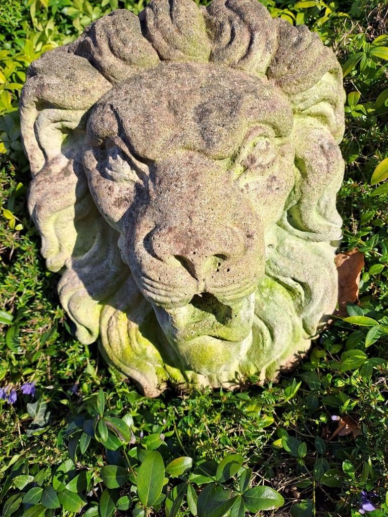 Muurfontein Leeuwenkop - 40 cm hoog, Tuin en Terras, Tuinbeelden, Ophalen, Gebruikt, Beton, Dierenbeeld