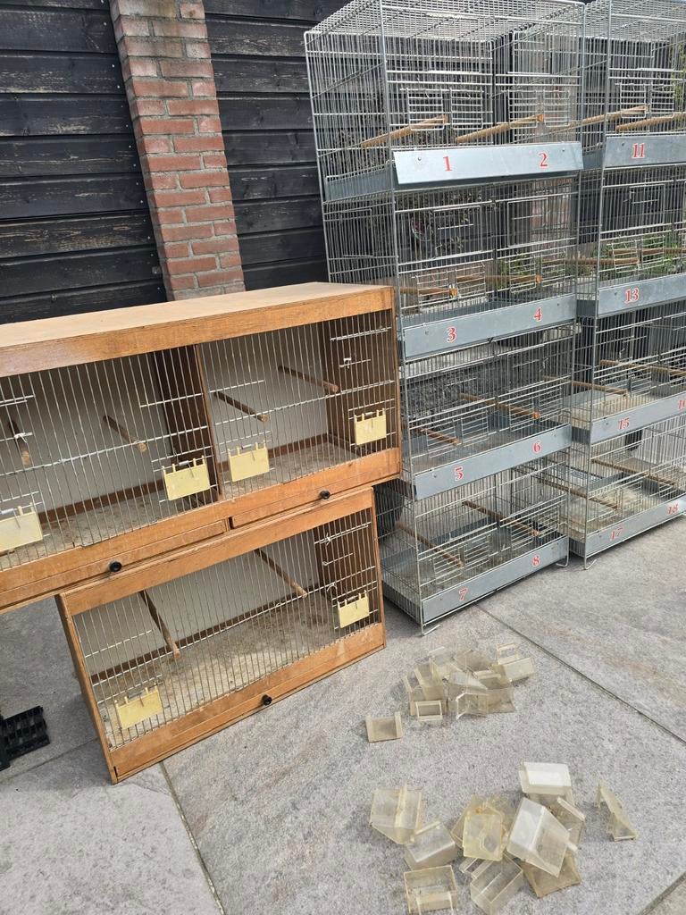 Broedkooien gegalvanisseerd en hout, Dieren en Toebehoren, Ophalen, Hout, Broedkooi of Kweekkooi