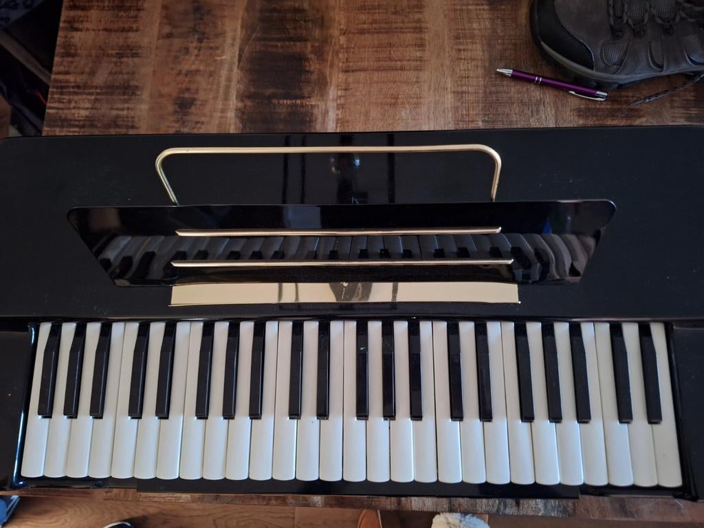 Hohner Organa orgel, Muziek en Instrumenten, Ophalen of Verzenden, Gebruikt