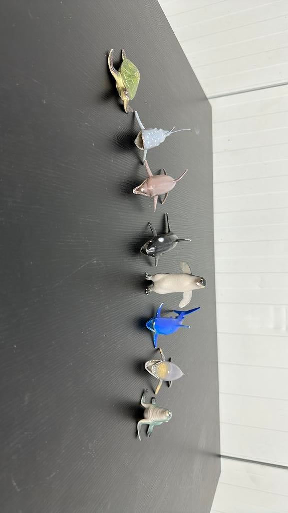 Zeedieren, Ophalen of Verzenden, Nieuw, Overige typen, Met licht