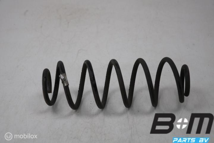 Schroefveer achterzijde VW Polo 2G 2Q0511121CK, Gebruikt