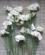 ANJER - KUNST - ROOD - WIT € 2,00, Ophalen of Verzenden, Zo goed als nieuw