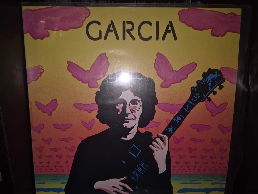 Garcia, Verzenden, Zo goed als nieuw, 12 inch, Poprock