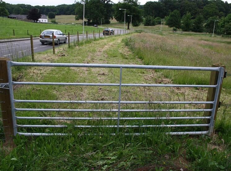 35. Stalen poort | kleinveehek | weidepoort | schapenhek, Tuin en Terras, Ophalen of Verzenden, Nieuw, IJzer, Tuinhek