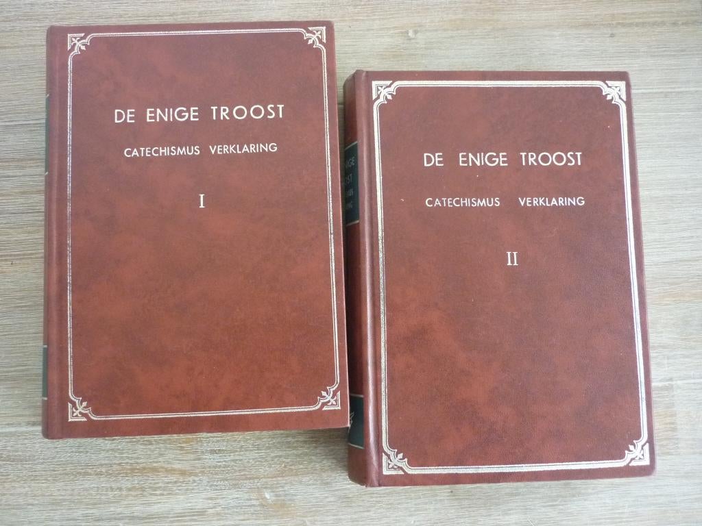 De enige troost -Catechismusverklaring deel 1 en 2, Ophalen of Verzenden, Zo goed als nieuw, Christendom | Protestants