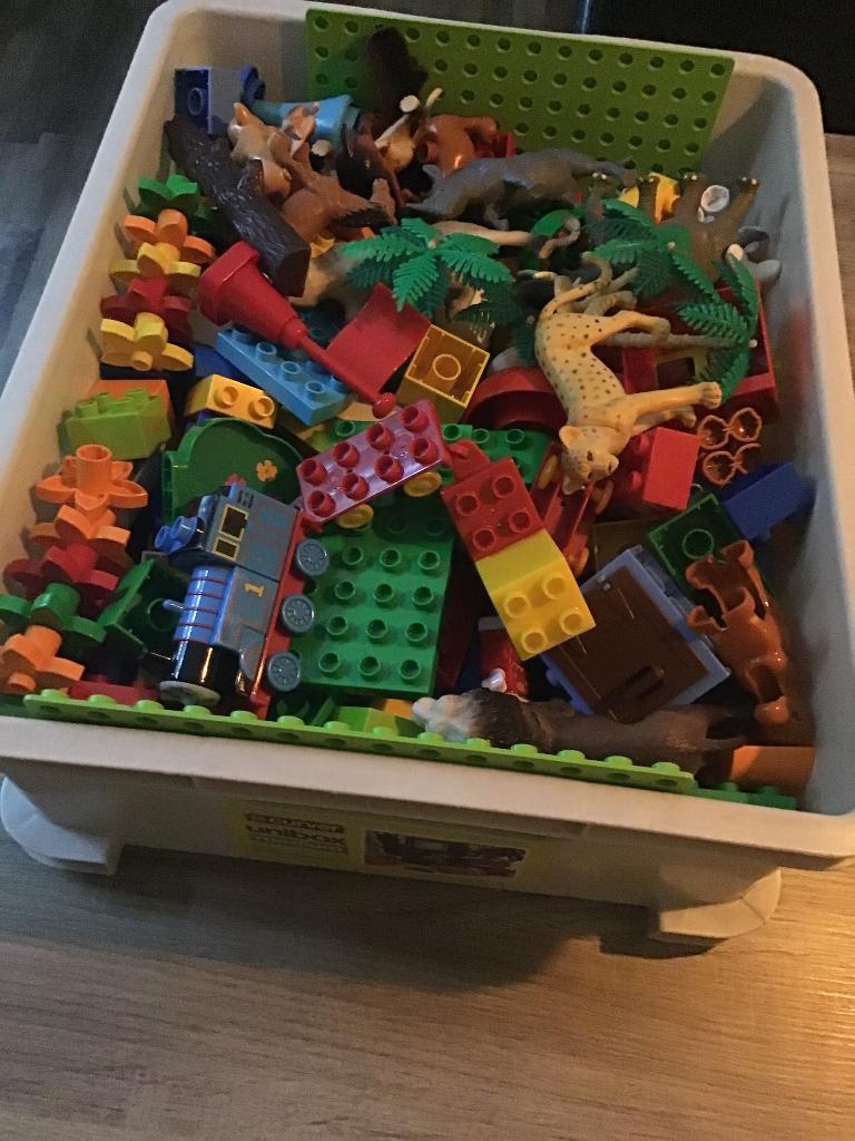 Duplo Lego., Ophalen, Zo goed als nieuw, MOC (eigen creatie), Duplo