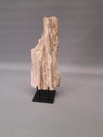 Versteend hout op standaard, Verzamelen, Ophalen of Verzenden, Overige typen