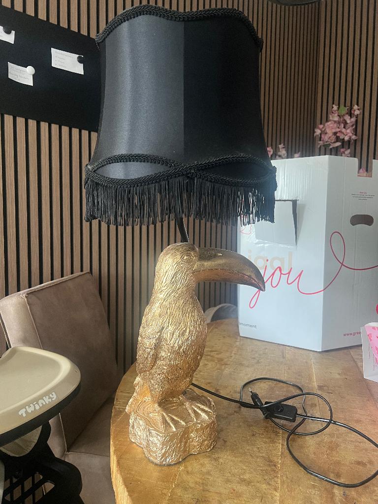 Designer lamp, Huis en Inrichting, Lampen | Tafellampen, Ophalen, Zo goed als nieuw, 50 tot 75 cm