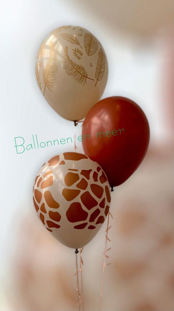 Helliumballonnen, Hobby en Vrije tijd, Feestartikelen | Verhuur, Nieuw, Valentijn of Romantisch, Ophalen