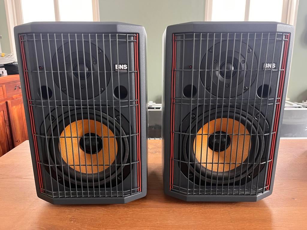 BNS A4 professionele studio monitors, Ophalen of Verzenden, Gebruikt, Front, Rear of Stereo speakers, Overige merken